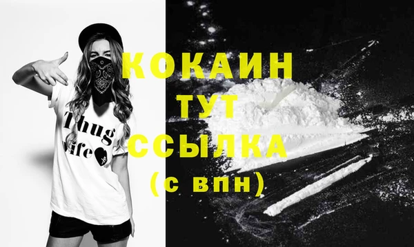 ECSTASY Новозыбков