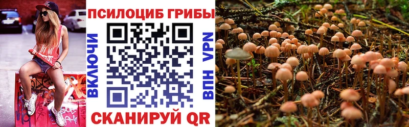 Галлюциногенные грибы мицелий  дарнет шоп  Томари 